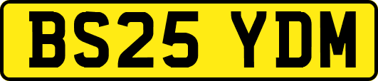 BS25YDM