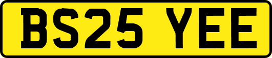 BS25YEE