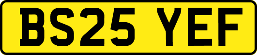 BS25YEF