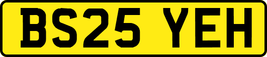 BS25YEH