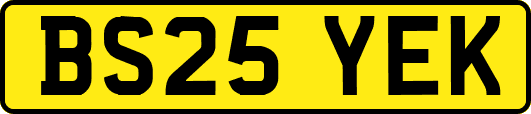 BS25YEK
