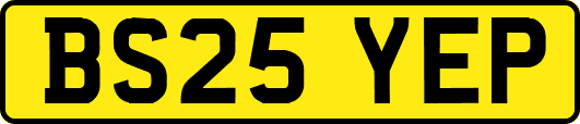 BS25YEP