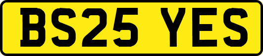 BS25YES