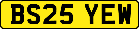 BS25YEW