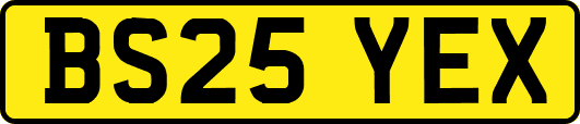 BS25YEX