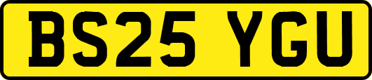 BS25YGU