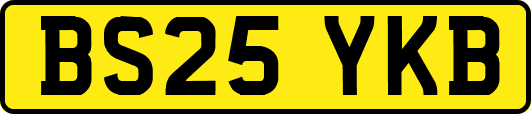 BS25YKB