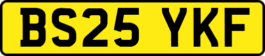 BS25YKF