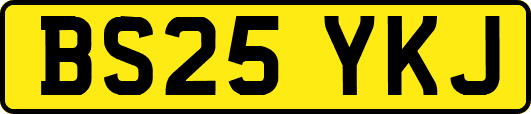 BS25YKJ