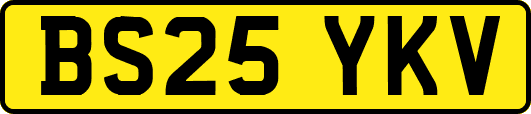 BS25YKV