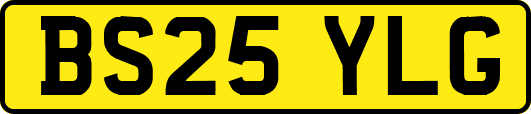 BS25YLG