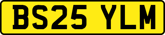 BS25YLM