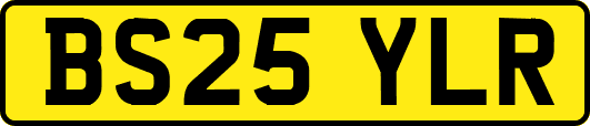 BS25YLR