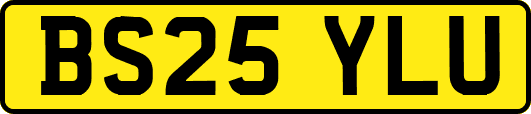 BS25YLU