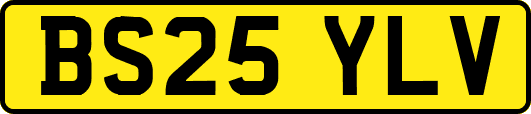 BS25YLV