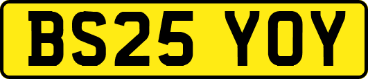BS25YOY