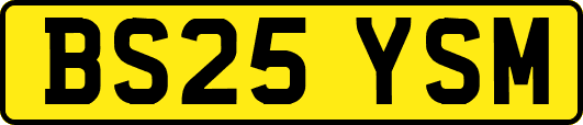 BS25YSM