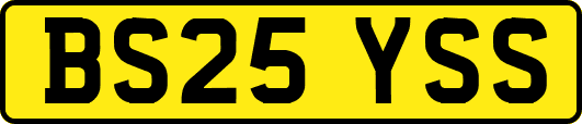 BS25YSS