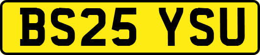 BS25YSU
