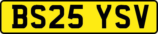 BS25YSV