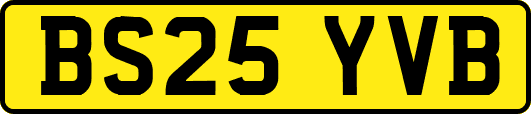 BS25YVB
