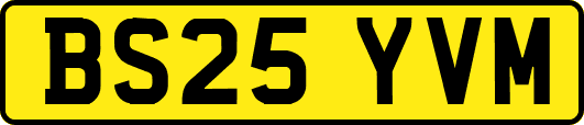 BS25YVM