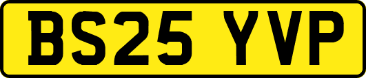 BS25YVP