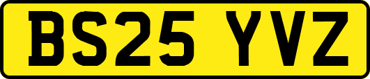 BS25YVZ