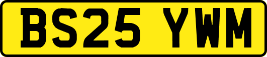 BS25YWM