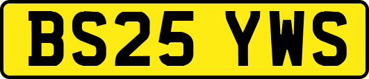 BS25YWS