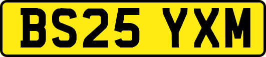 BS25YXM