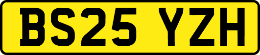 BS25YZH