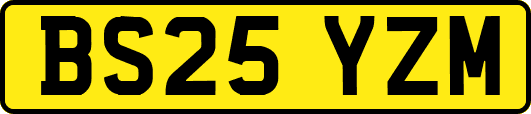 BS25YZM