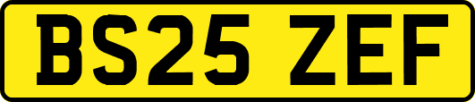 BS25ZEF
