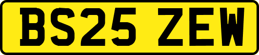 BS25ZEW