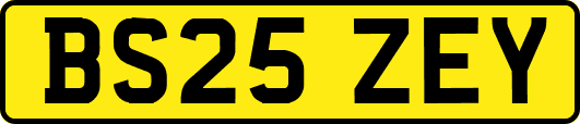 BS25ZEY
