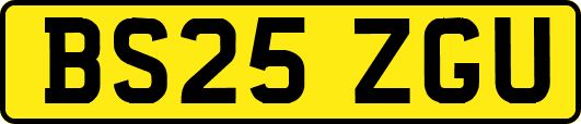 BS25ZGU