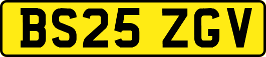 BS25ZGV