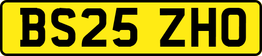 BS25ZHO