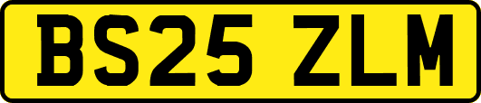 BS25ZLM