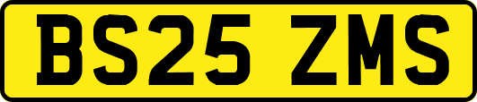 BS25ZMS