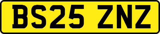 BS25ZNZ