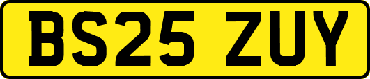 BS25ZUY