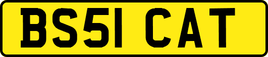 BS51CAT