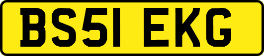 BS51EKG