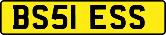 BS51ESS