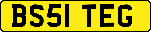 BS51TEG