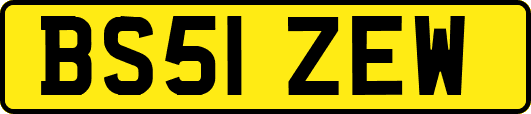 BS51ZEW