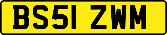 BS51ZWM