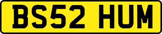 BS52HUM